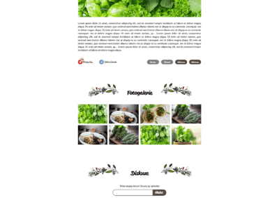 graficky design eshop marek liska grafik designer 5
